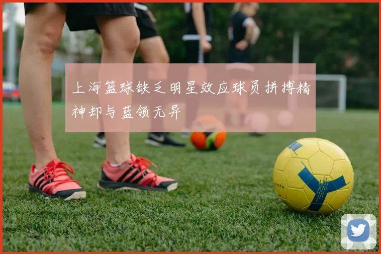 上海篮球缺乏明星效应球员拼搏精神却与蓝领无异